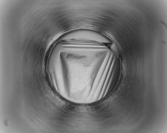 X0000099500780200806051122