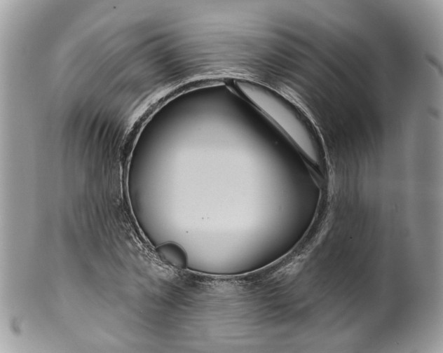 X0000099500781200806051122