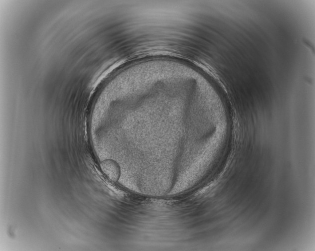 X0000099500782200806051122