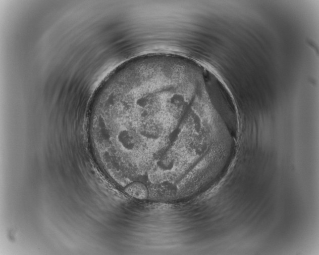 X0000099500783200806051122