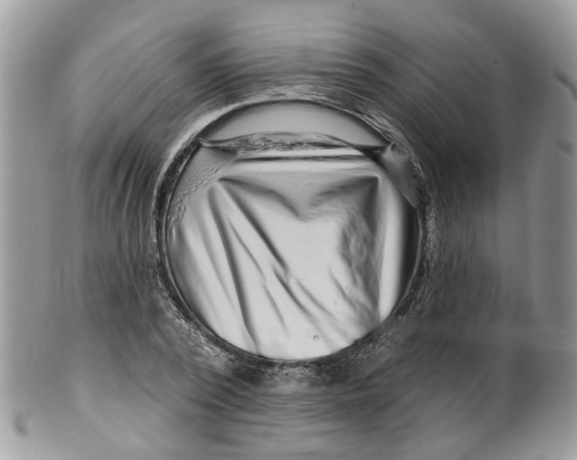 X0000099500784200806051122