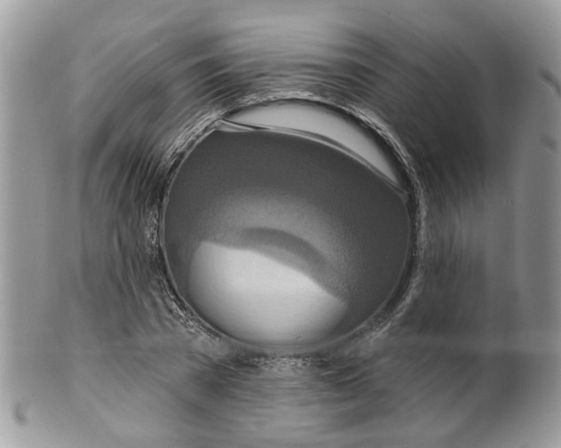 X0000099500785200806051122