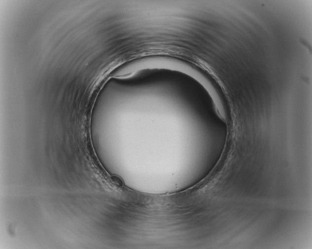 X0000099500786200806051122