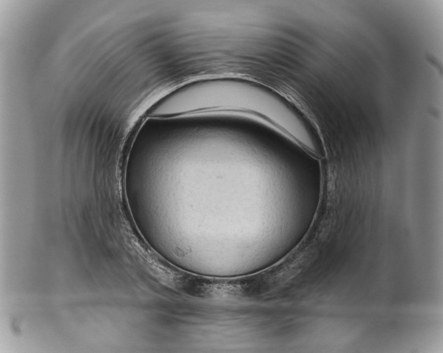 X0000099500789200806051122