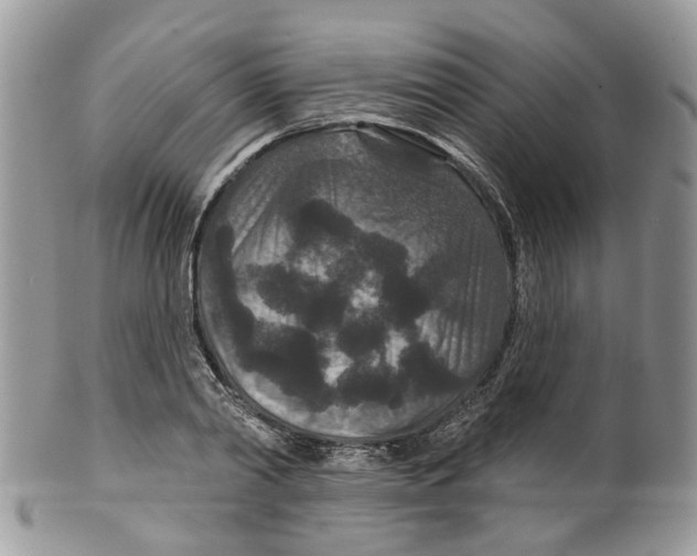 X0000099500790200806051122