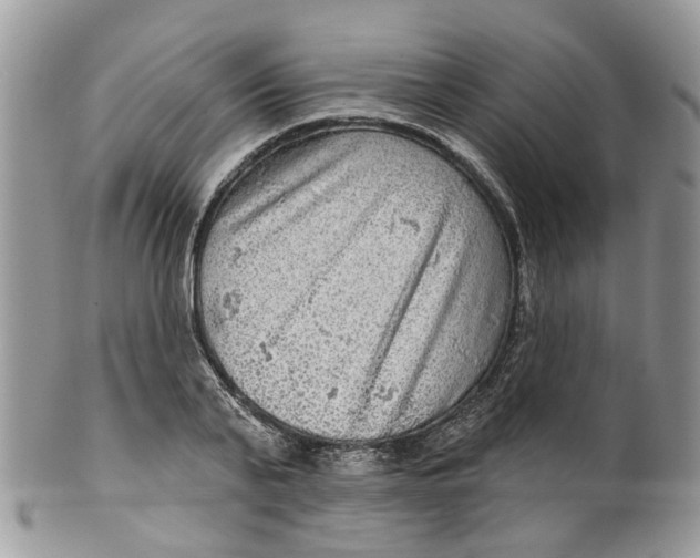 X0000099500791200806051122