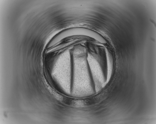 X0000099500792200806051122