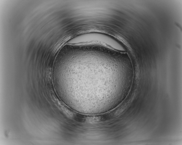 X0000099500793200806051122