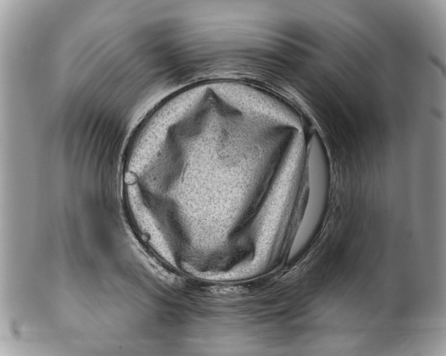 X0000099500795200806051121