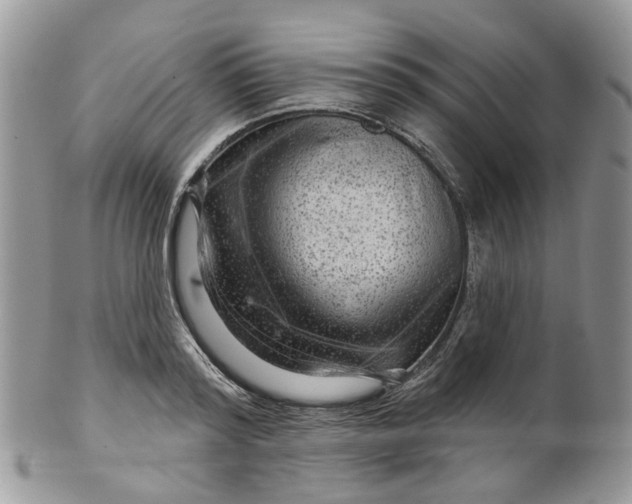 X0000099500796200806051121