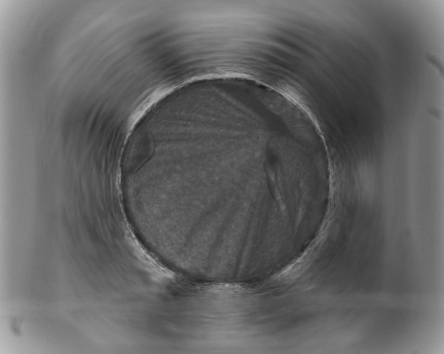 X0000099500797200806051121