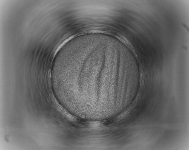 X0000099500798200806051121