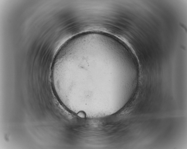 X0000099500799200806051121