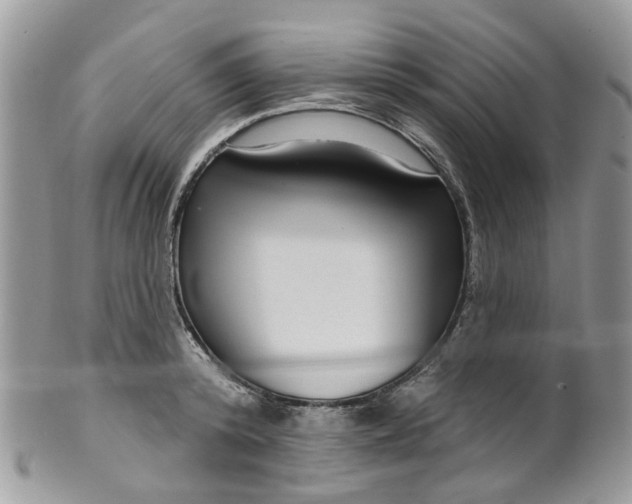 X0000099500800200806051121