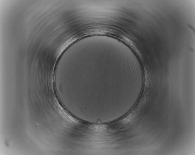 X0000099500802200806051121