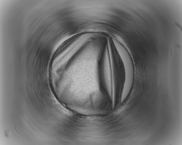 X0000099500803200806051121