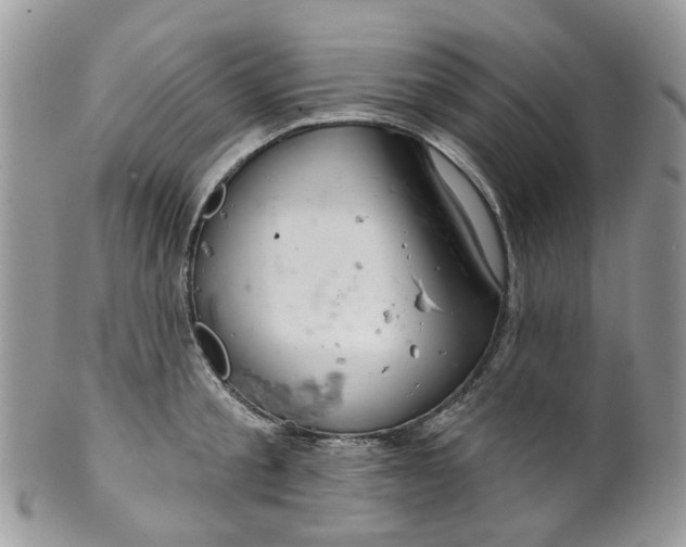 X0000099500805200806051121