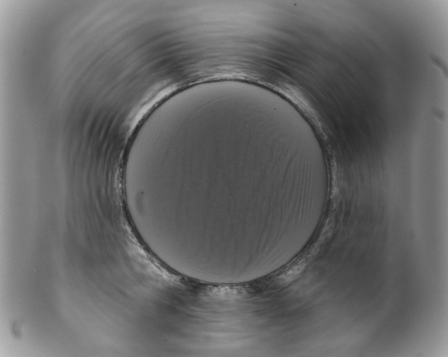 X0000099500806200806051121