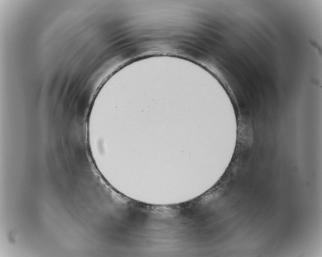 X0000099500807200806051121