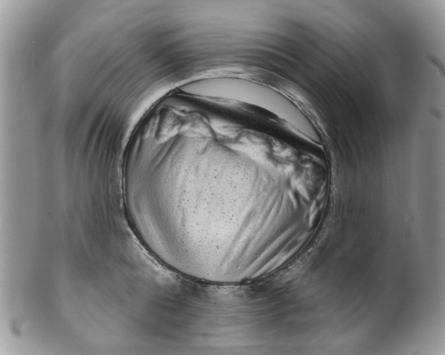 X0000099500808200806051121