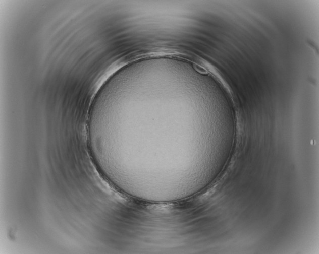 X0000099500810200806051121