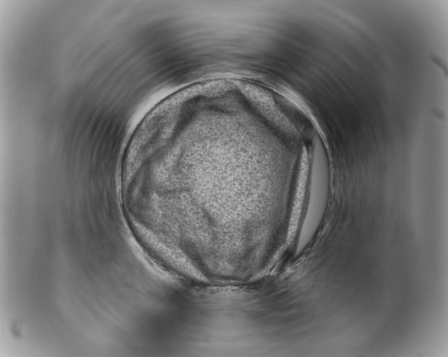 X0000099500811200806051121