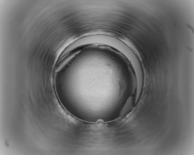 X0000099500813200806051121