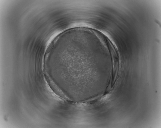 X0000099500815200806051121