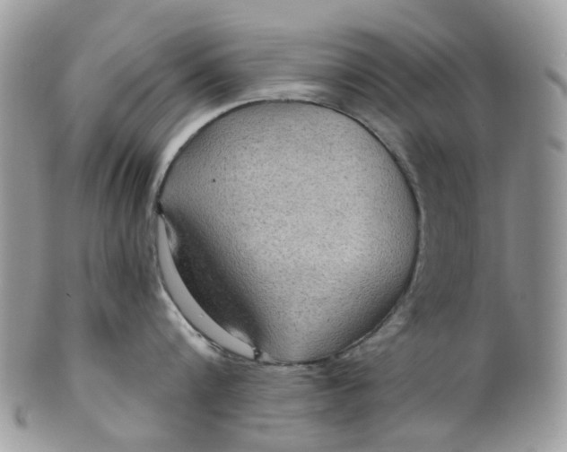 X0000099500816200806051121