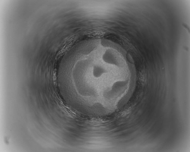 X0000099500818200806051121