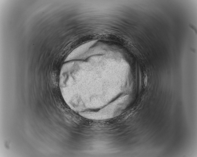 X0000099500819200806051121