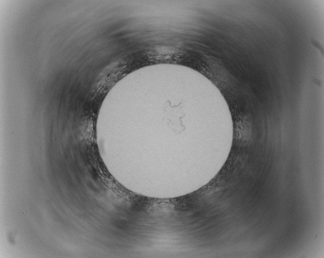 X0000099500820200806051121