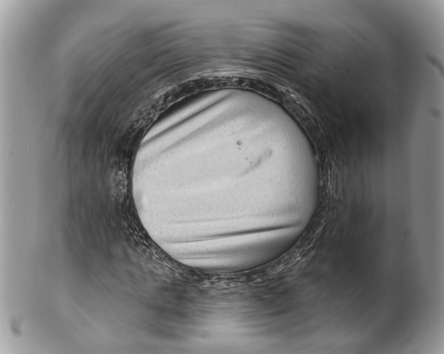 X0000099500821200806051121