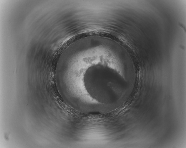 X0000099500822200806051121