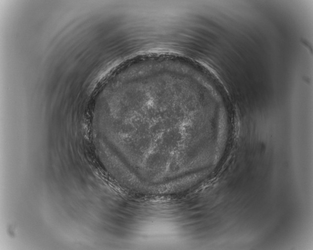 X0000099500823200806051121