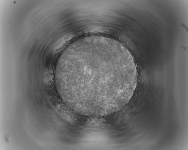 X0000099500824200806051121