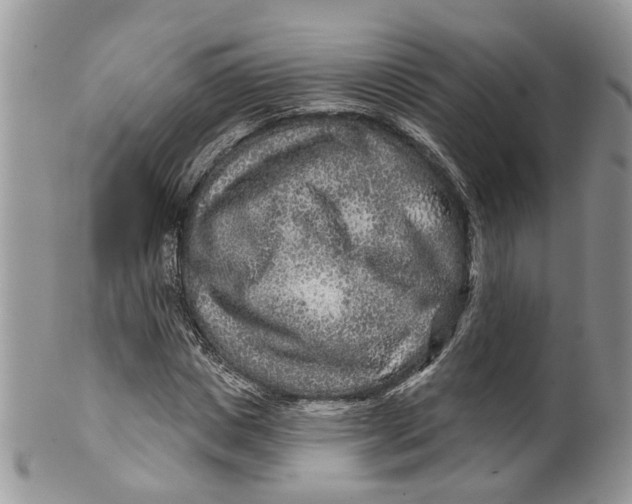 X0000099500825200806051121