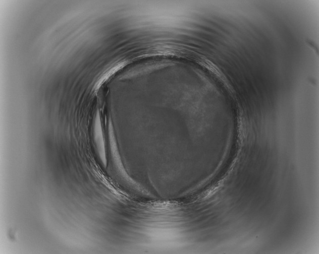 X0000099500826200806051121