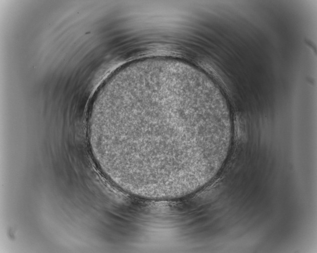 X0000099500828200806051121