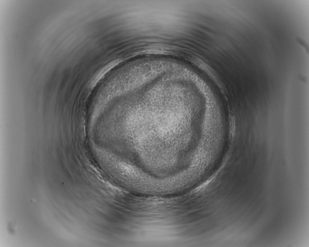 X0000099500829200806051121