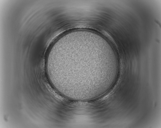 X0000099500831200806051121