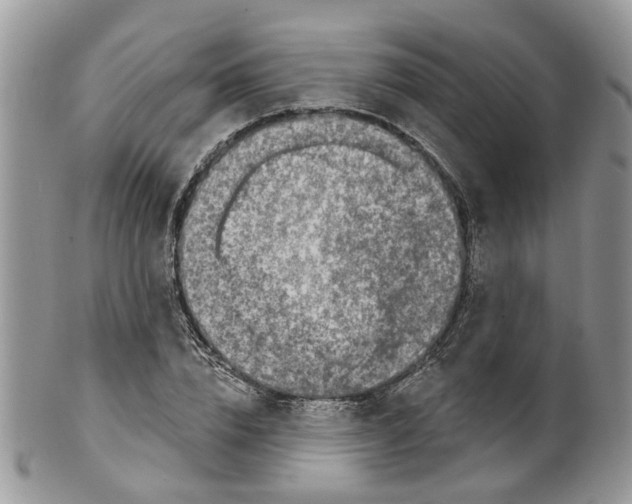 X0000099500832200806051121