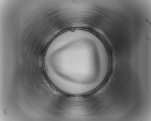 X0000099500833200806051121