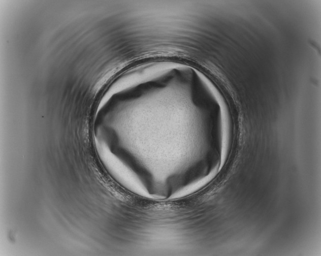 X0000099500834200806051121