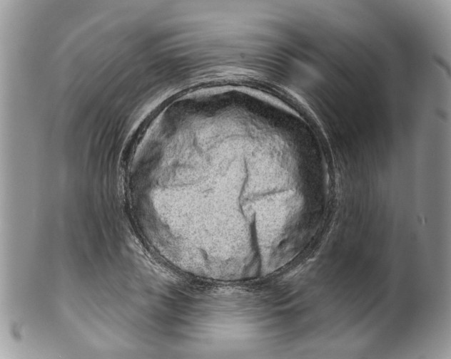 X0000099500835200806051121