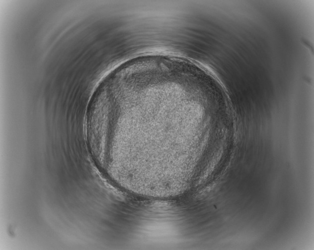 X0000099500839200806051121