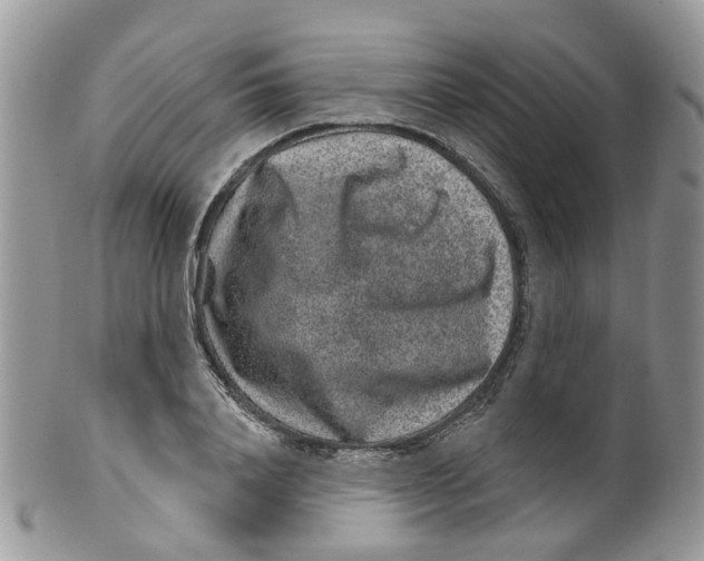 X0000099500840200806051121