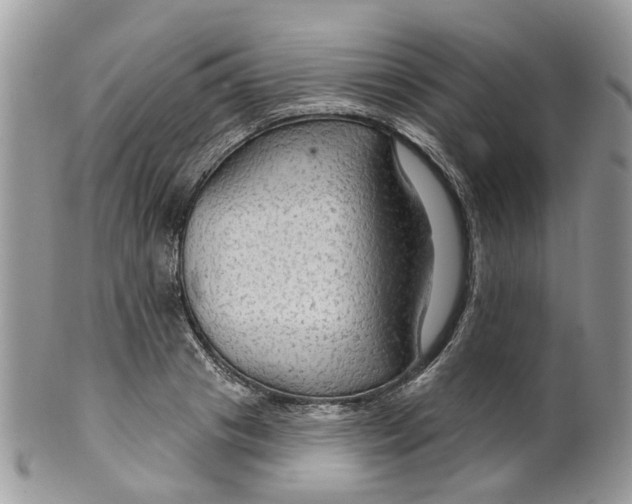 X0000099500841200806051121