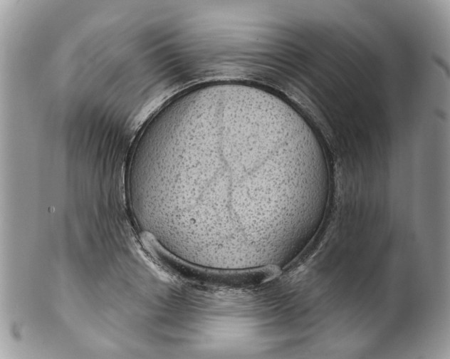 X0000099500842200806051121