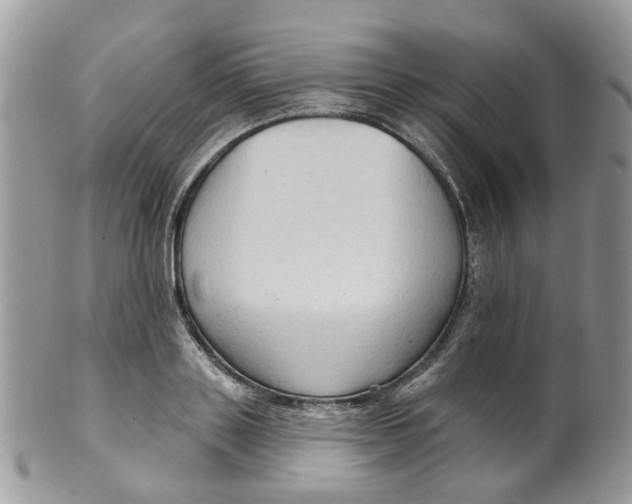 X0000099500843200806051121